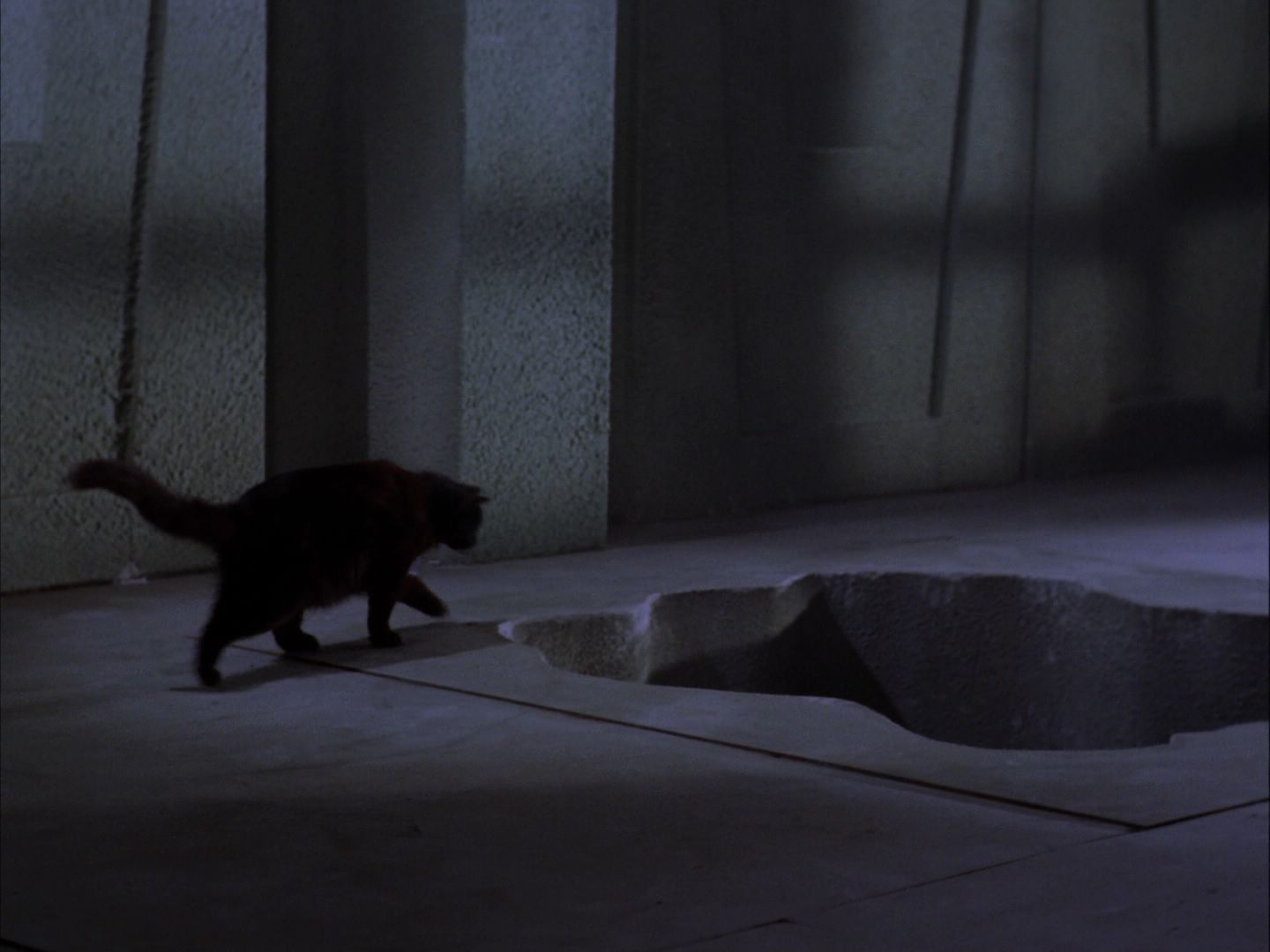 ariane179254_StarTrek_2x07_Catspaw_0899.jpg