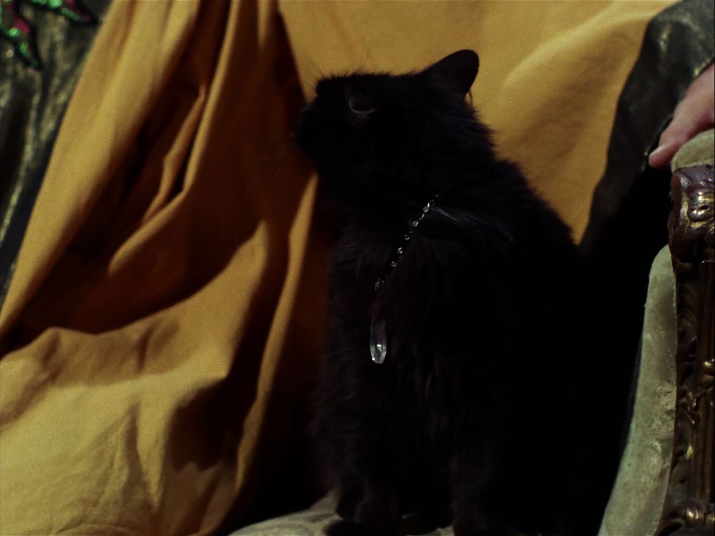 ariane179254_StarTrek_2x07_Catspaw_1234.jpg