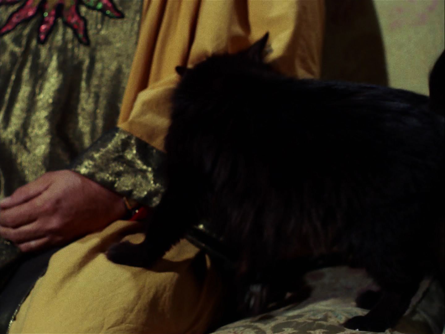ariane179254_StarTrek_2x07_Catspaw_1298.jpg