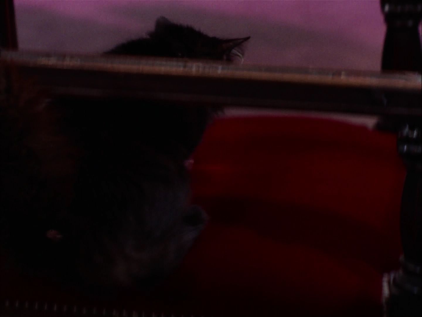 ariane179254_StarTrek_2x07_Catspaw_1316.jpg