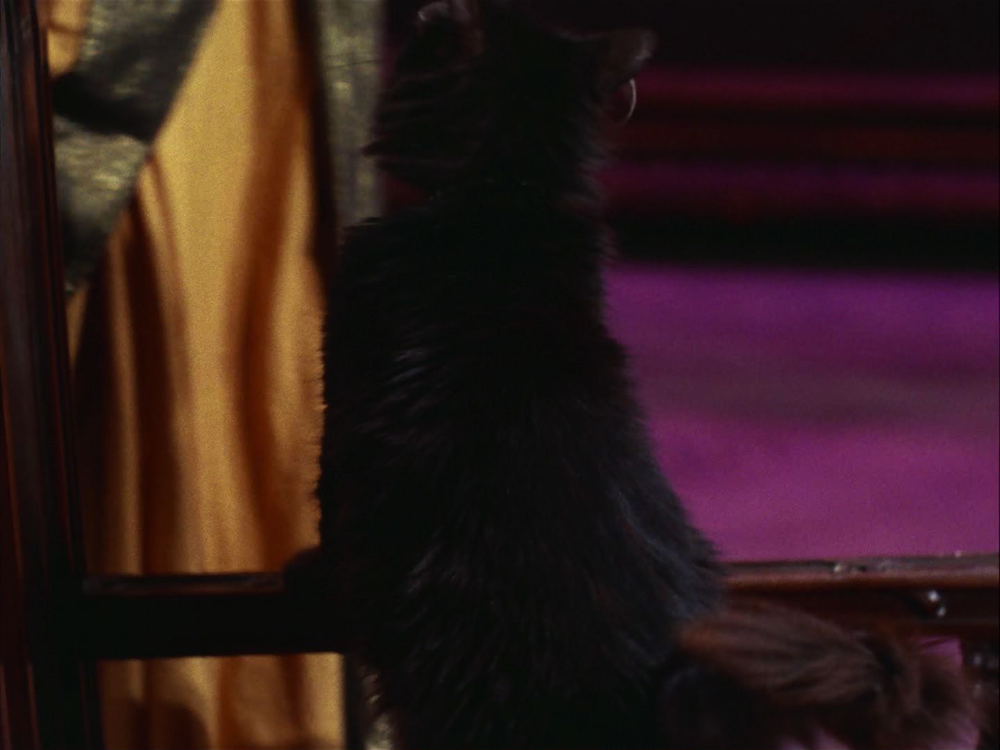ariane179254_StarTrek_2x07_Catspaw_1403.jpg