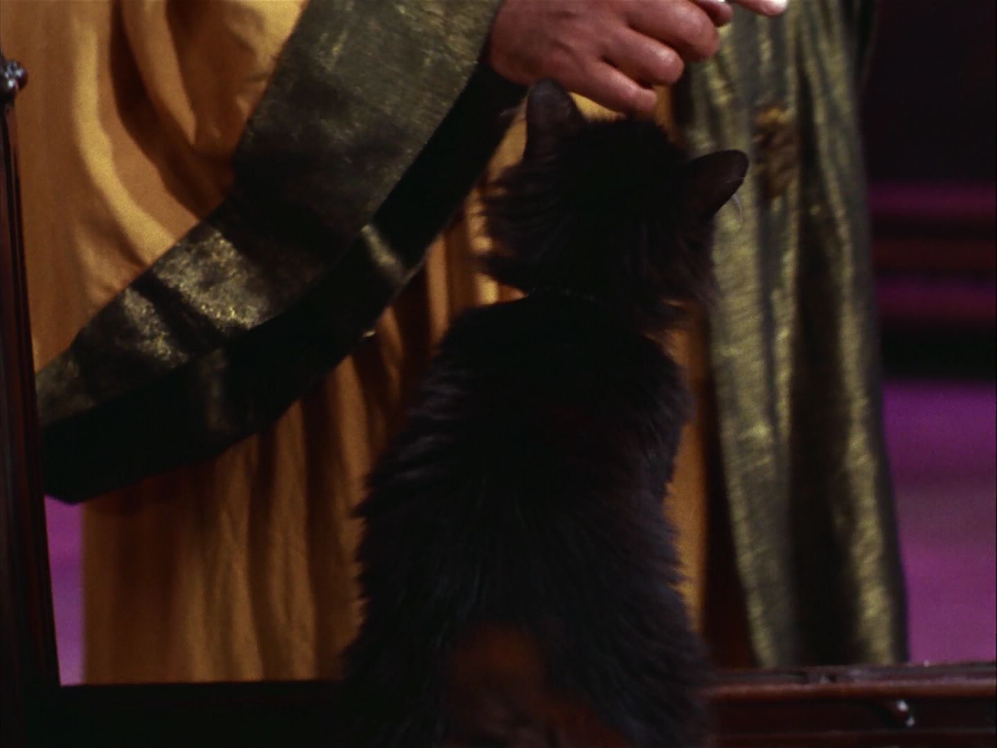 ariane179254_StarTrek_2x07_Catspaw_1404.jpg