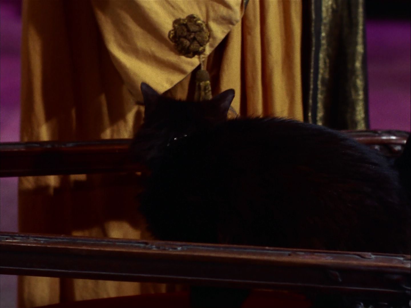 ariane179254_StarTrek_2x07_Catspaw_1532.jpg