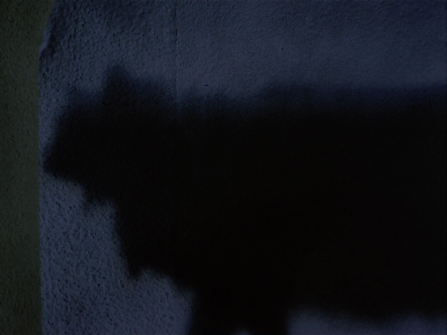 ariane179254_StarTrek_2x07_Catspaw_2872.jpg