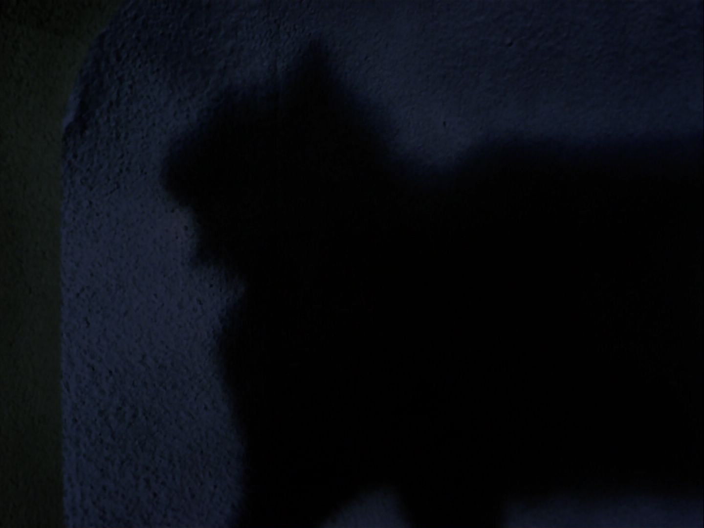 ariane179254_StarTrek_2x07_Catspaw_2882.jpg