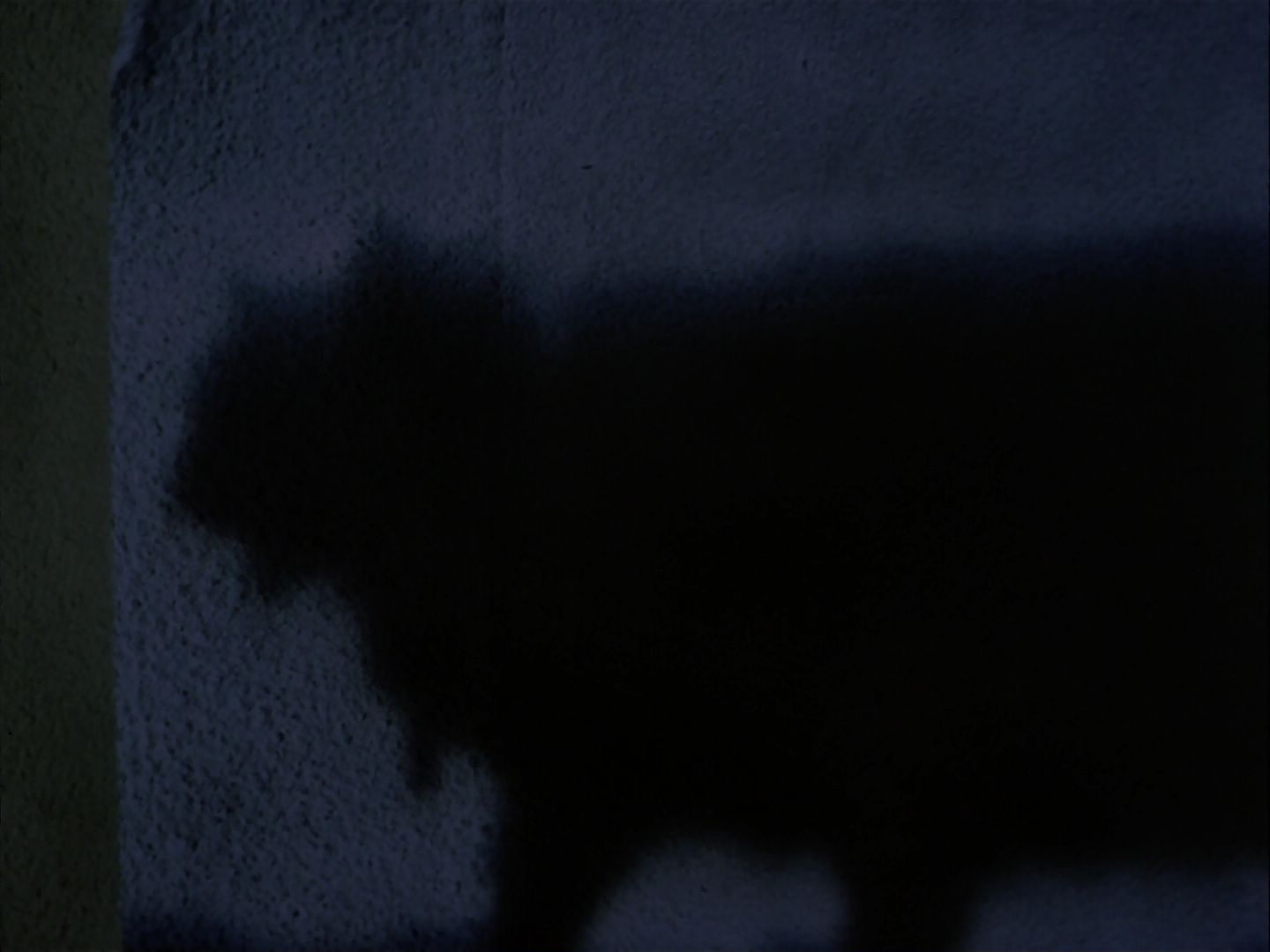 ariane179254_StarTrek_2x07_Catspaw_2902.jpg