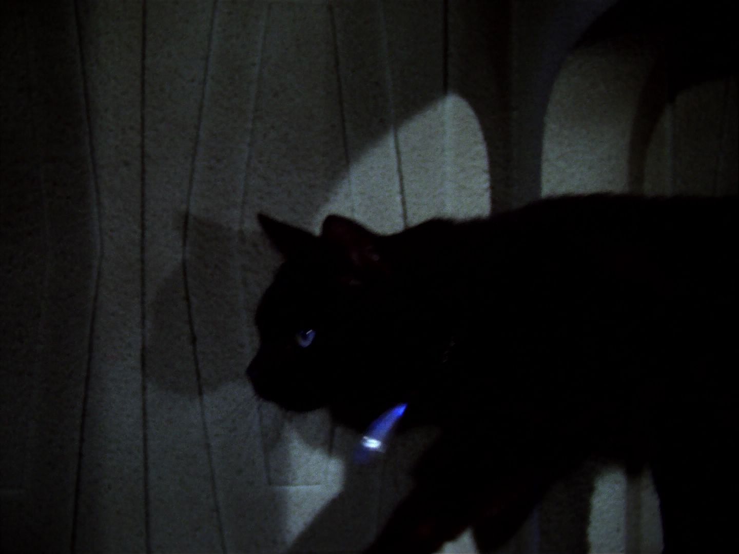 ariane179254_StarTrek_2x07_Catspaw_2970.jpg