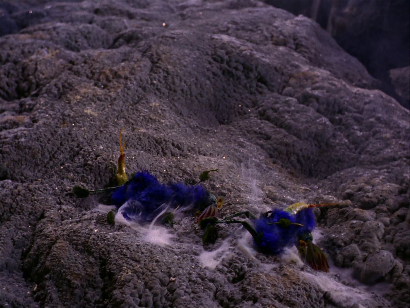 ariane179254_StarTrek_2x07_Catspaw_3370.jpg