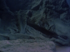 Filename=ariane179254_StarTrek_2x07_Catspaw_0236.jpg
Filesize=95KiB
Dimensions=1440x1080
Date added=Jun 23, 2015 ariane179254_StarTrek_2x07_Catspaw_0236.jpg