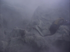 ariane179254_StarTrek_2x07_Catspaw_0544.jpg