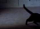 ariane179254_StarTrek_2x07_Catspaw_0896.jpg