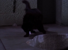 ariane179254_StarTrek_2x07_Catspaw_0904.jpg