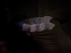 ariane179254_StarTrek_2x07_Catspaw_0916.jpg