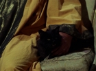 ariane179254_StarTrek_2x07_Catspaw_1268.jpg