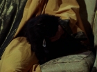 ariane179254_StarTrek_2x07_Catspaw_1270.jpg