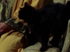 ariane179254_StarTrek_2x07_Catspaw_1293.jpg