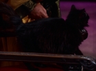 Filename=ariane179254_StarTrek_2x07_Catspaw_1536.jpg
Filesize=65KiB
Dimensions=1440x1080
Date added=Jun 23, 2015 ariane179254_StarTrek_2x07_Catspaw_1536.jpg