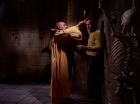 Filename=ariane179254_StarTrek_2x07_Catspaw_2774.jpg
Filesize=105KiB
Dimensions=1440x1080
Date added=Jun 23, 2015 ariane179254_StarTrek_2x07_Catspaw_2774.jpg