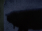 Filename=ariane179254_StarTrek_2x07_Catspaw_2869.jpg
Filesize=62KiB
Dimensions=1440x1080
Date added=Jun 23, 2015 ariane179254_StarTrek_2x07_Catspaw_2869.jpg
