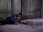 Filename=ariane179254_StarTrek_2x07_Catspaw_3036.jpg
Filesize=133KiB
Dimensions=1440x1080
Date added=Jun 23, 2015 ariane179254_StarTrek_2x07_Catspaw_3036.jpg