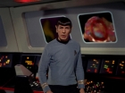 Filename=ariane179254_StarTrek_2x08_IMudd_0339.jpg
Filesize=104KiB
Dimensions=1440x1080
Date added=Jun 24, 2015 ariane179254_StarTrek_2x08_IMudd_0339.jpg