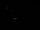 Filename=ariane179254_StarTrek_2x08_IMudd_0456.jpg
Filesize=13KiB
Dimensions=1440x1080
Date added=Jun 24, 2015 ariane179254_StarTrek_2x08_IMudd_0456.jpg