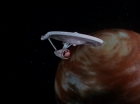 Filename=ariane179254_StarTrek_2x08_IMudd_3382.jpg
Filesize=54KiB
Dimensions=1440x1080
Date added=Jun 24, 2015 ariane179254_StarTrek_2x08_IMudd_3382.jpg