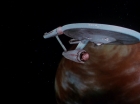 Filename=ariane179254_StarTrek_2x08_IMudd_3384.jpg
Filesize=64KiB
Dimensions=1440x1080
Date added=Jun 24, 2015 ariane179254_StarTrek_2x08_IMudd_3384.jpg
