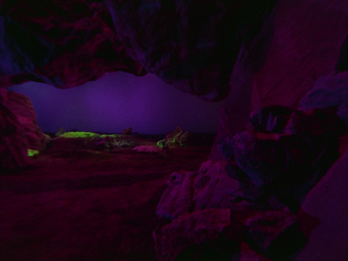 ariane179254_StarTrek_2x09_Metamorphosis_0372.jpg
