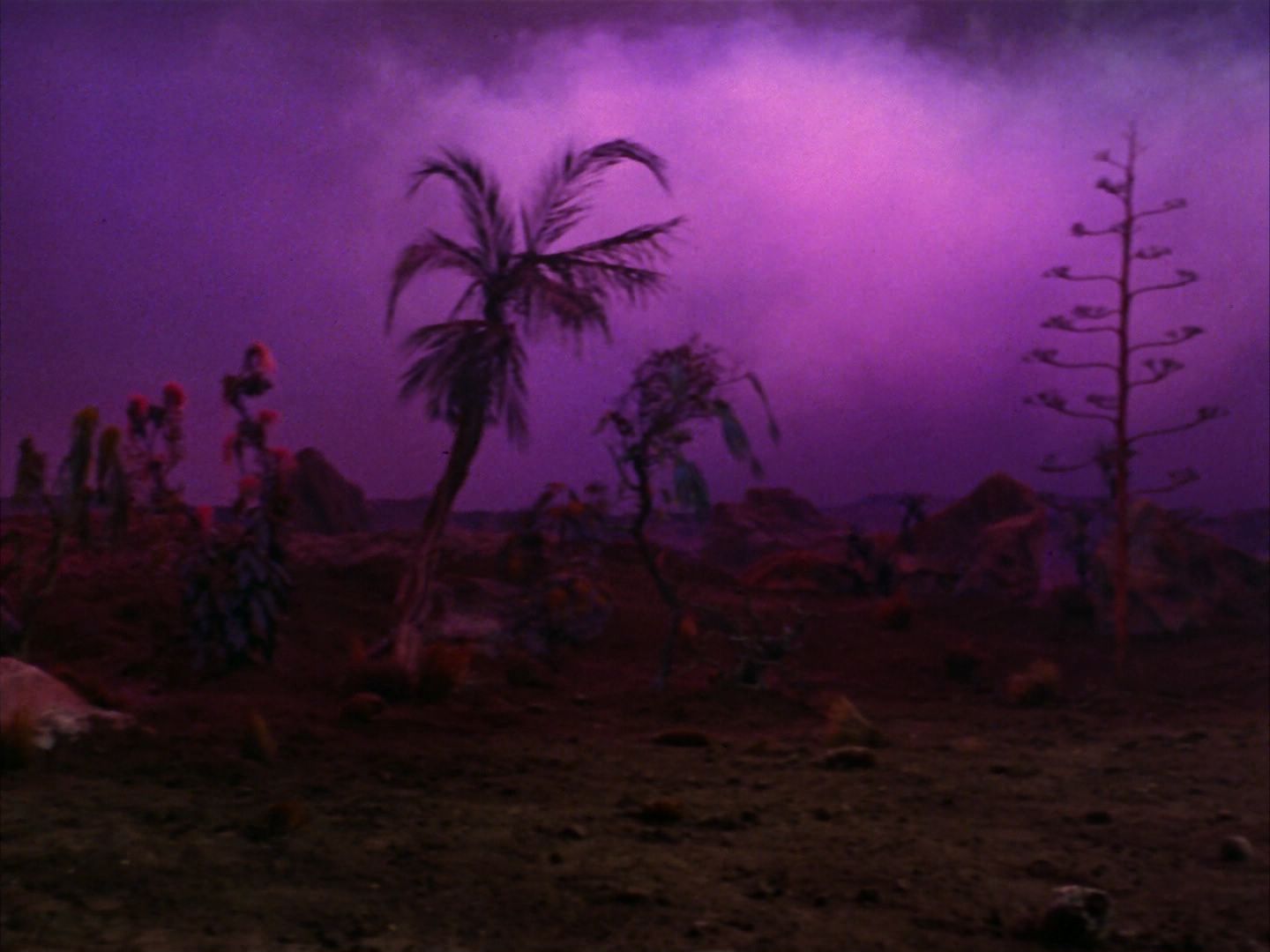 ariane179254_StarTrek_2x09_Metamorphosis_1364.jpg