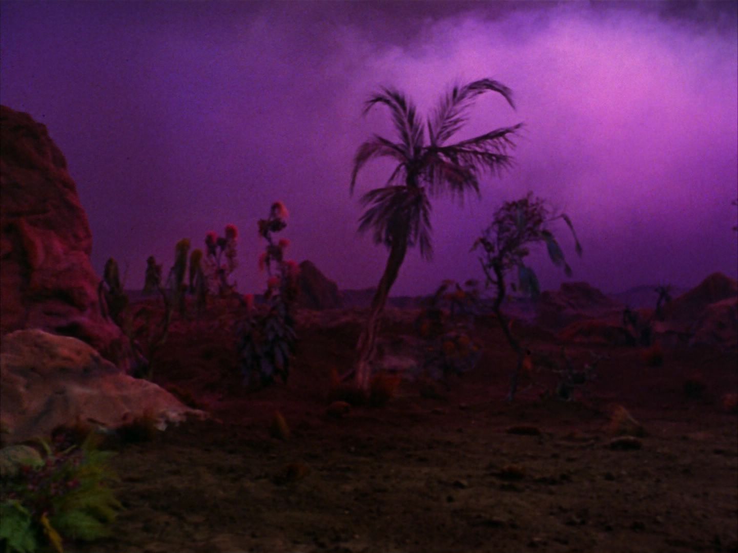 ariane179254_StarTrek_2x09_Metamorphosis_1365.jpg
