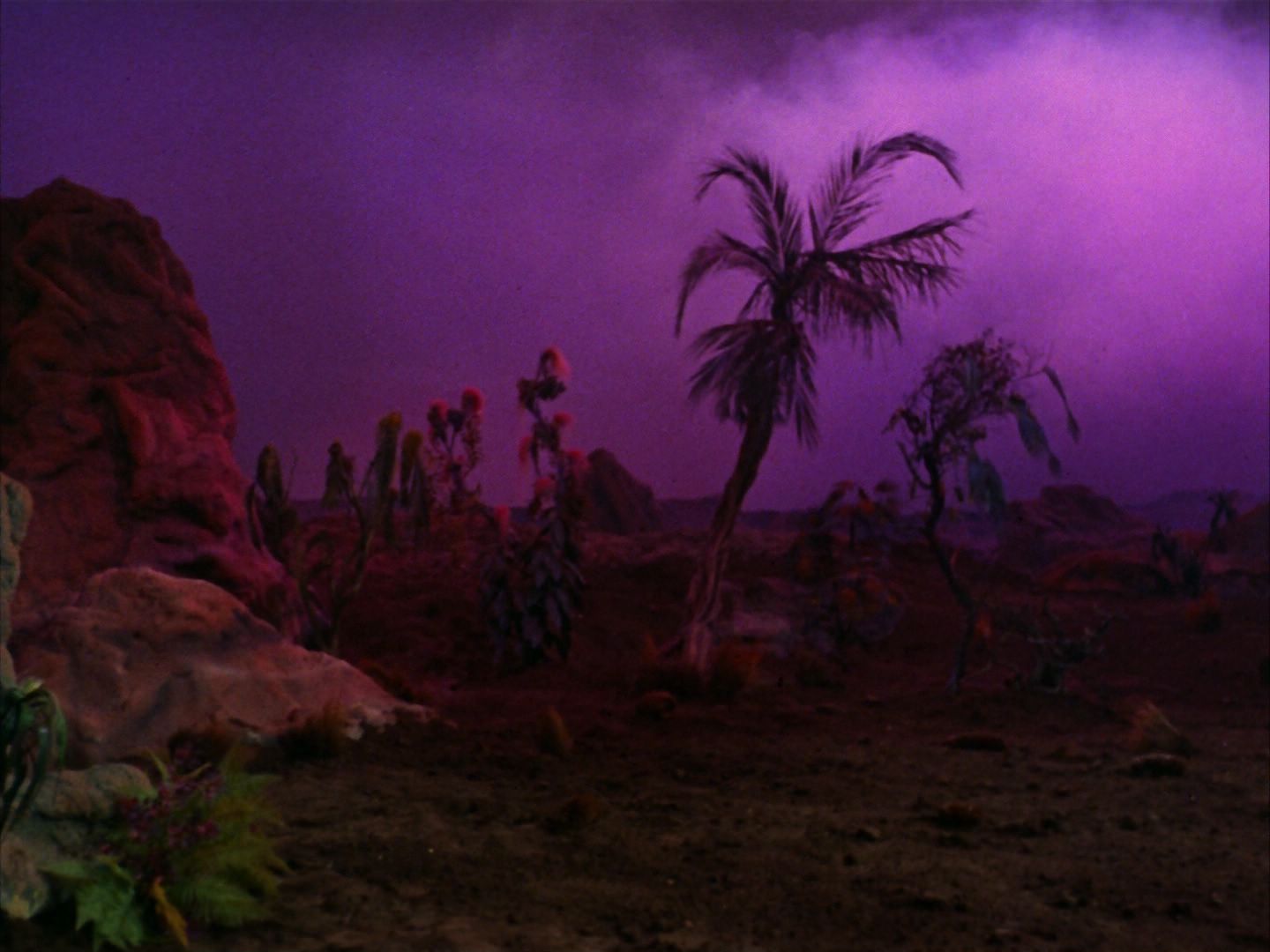 ariane179254_StarTrek_2x09_Metamorphosis_1367.jpg