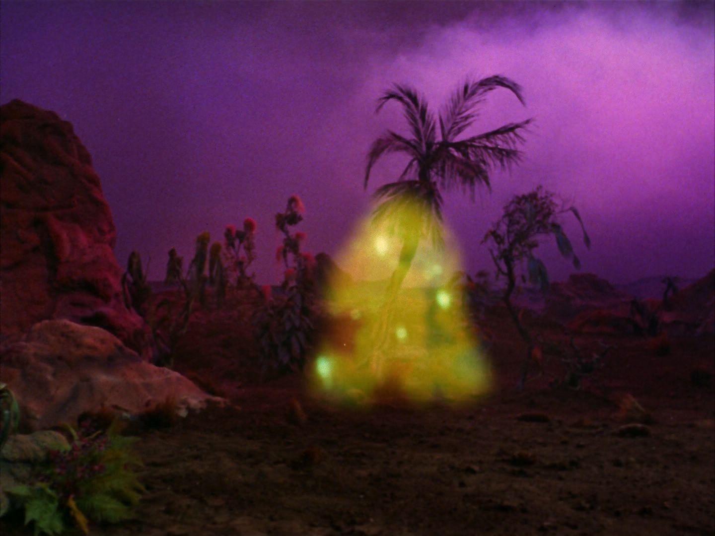 ariane179254_StarTrek_2x09_Metamorphosis_1374.jpg