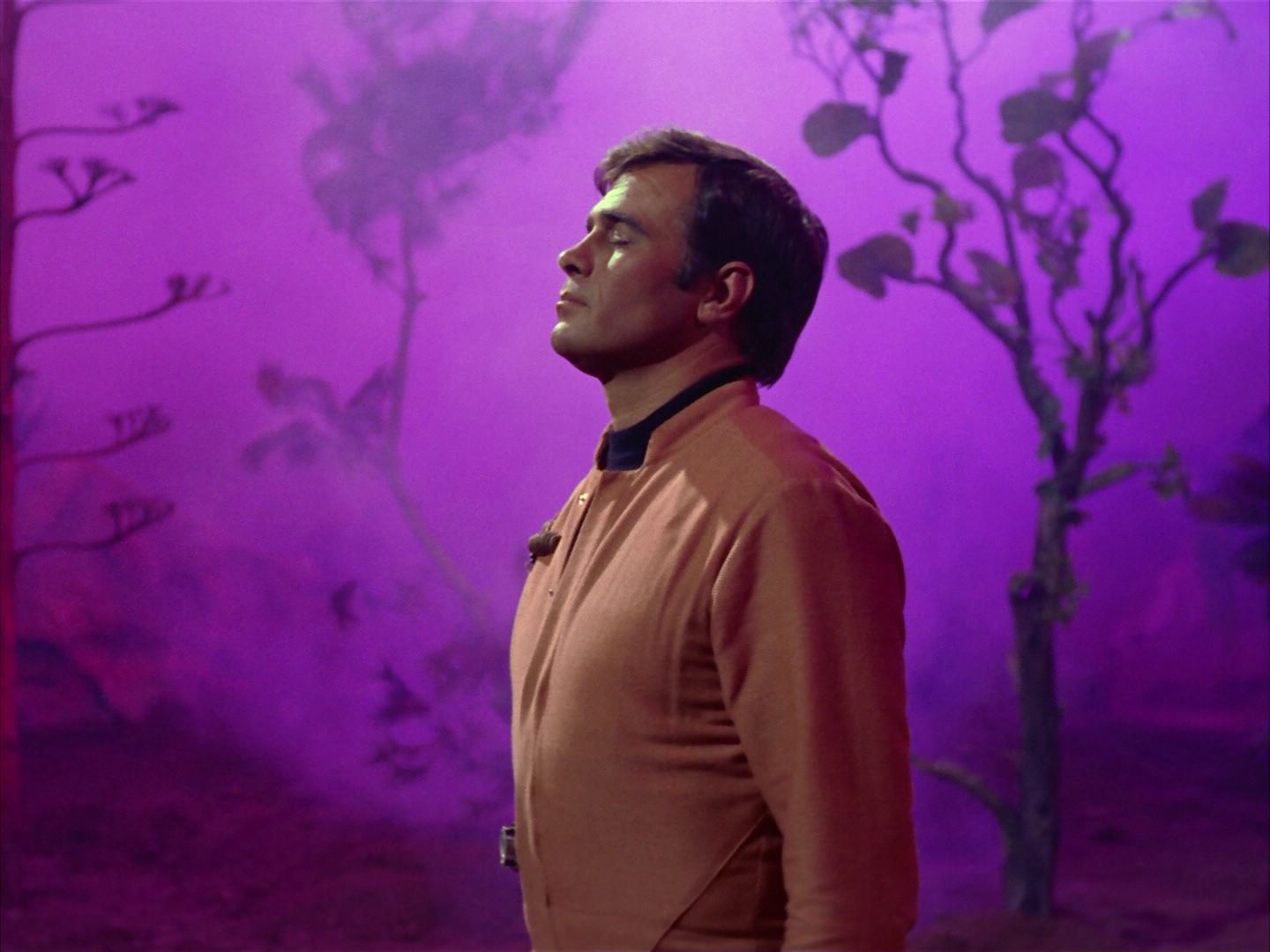 ariane179254_StarTrek_2x09_Metamorphosis_1657.jpg