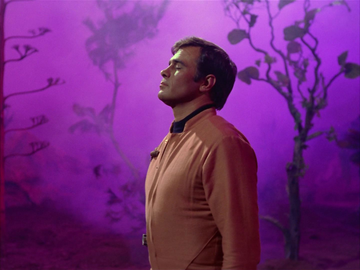 ariane179254_StarTrek_2x09_Metamorphosis_1658.jpg