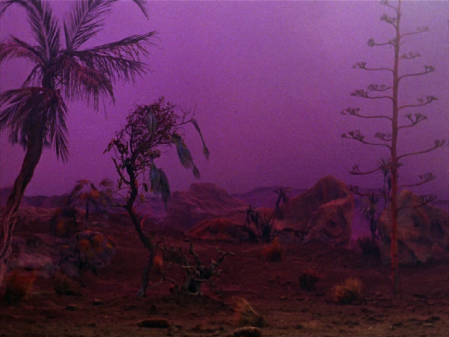 ariane179254_StarTrek_2x09_Metamorphosis_1659.jpg