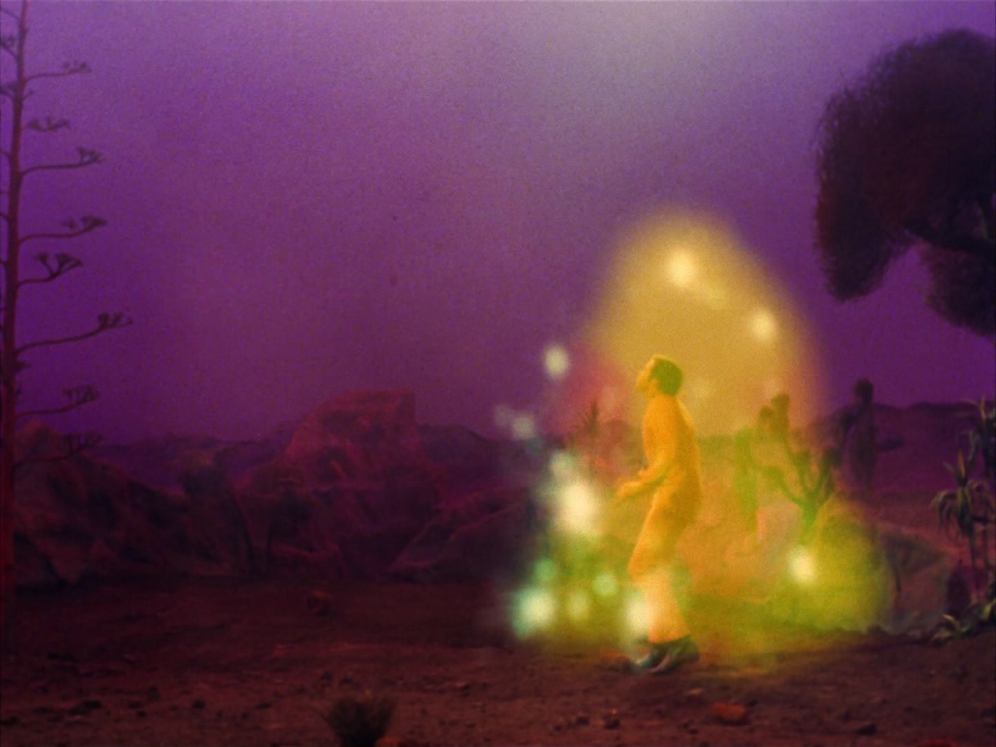 ariane179254_StarTrek_2x09_Metamorphosis_1675.jpg