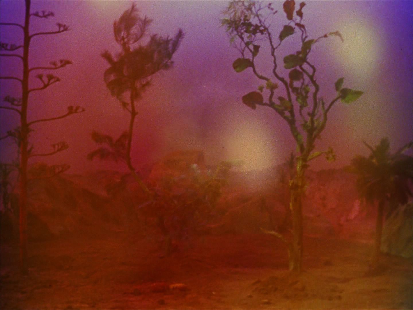 ariane179254_StarTrek_2x09_Metamorphosis_1690.jpg