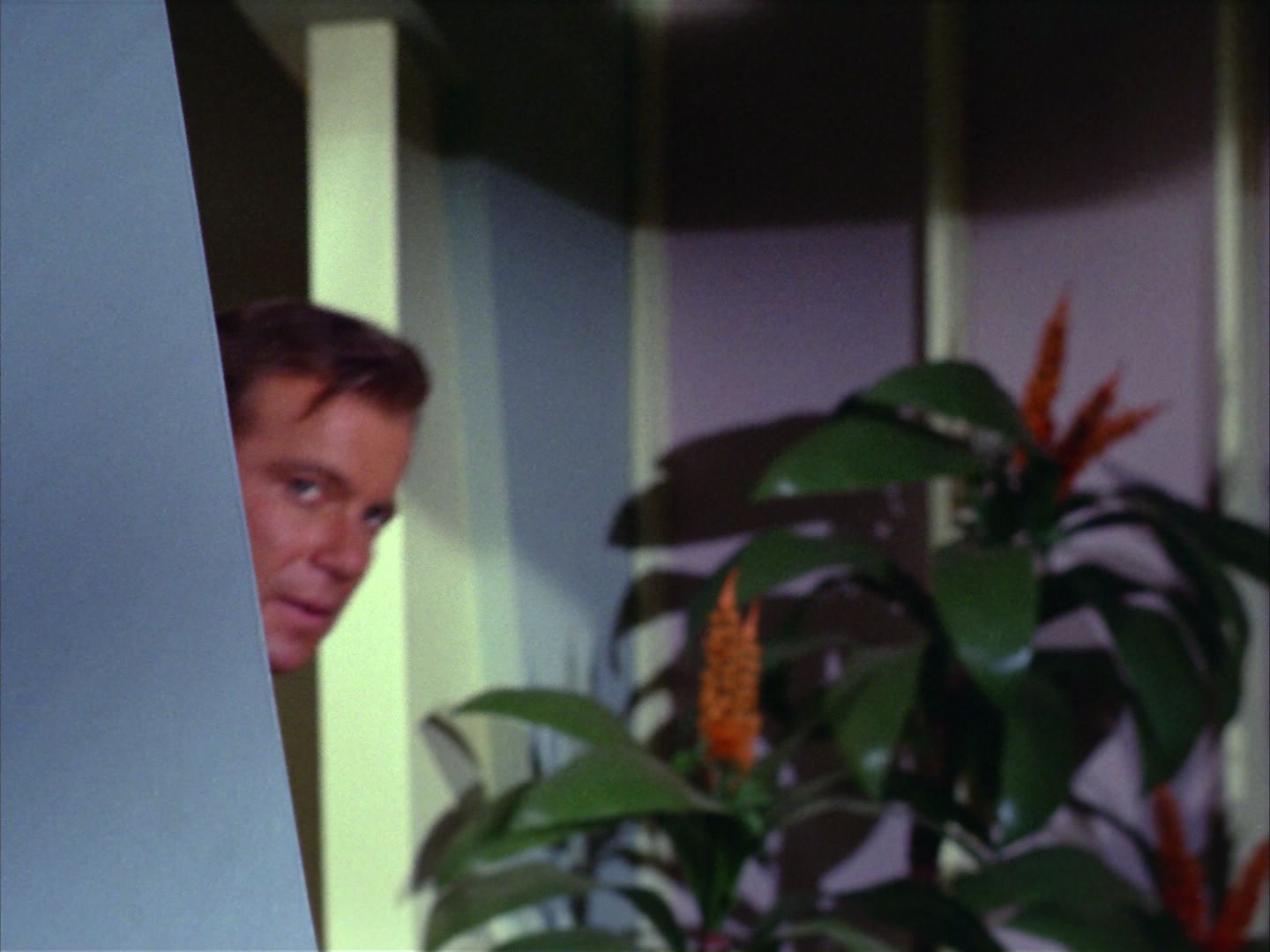 ariane179254_StarTrek_2x09_Metamorphosis_1764.jpg