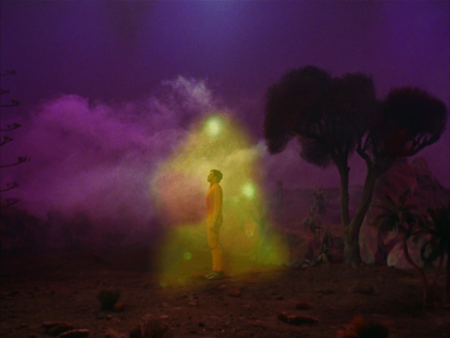 ariane179254_StarTrek_2x09_Metamorphosis_1769.jpg
