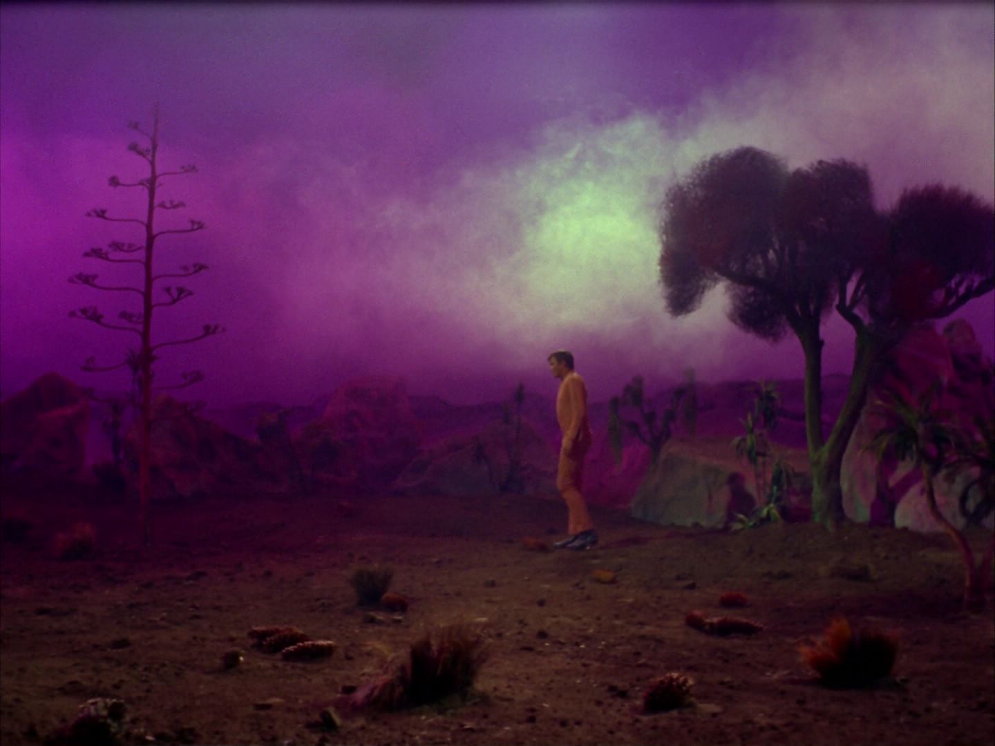 ariane179254_StarTrek_2x09_Metamorphosis_2069.jpg