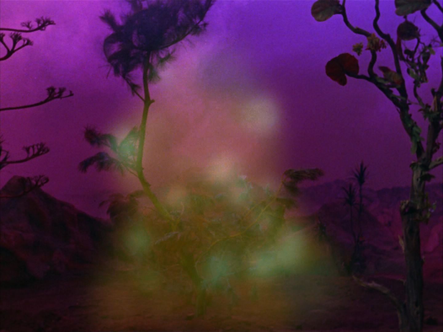 ariane179254_StarTrek_2x09_Metamorphosis_2077.jpg