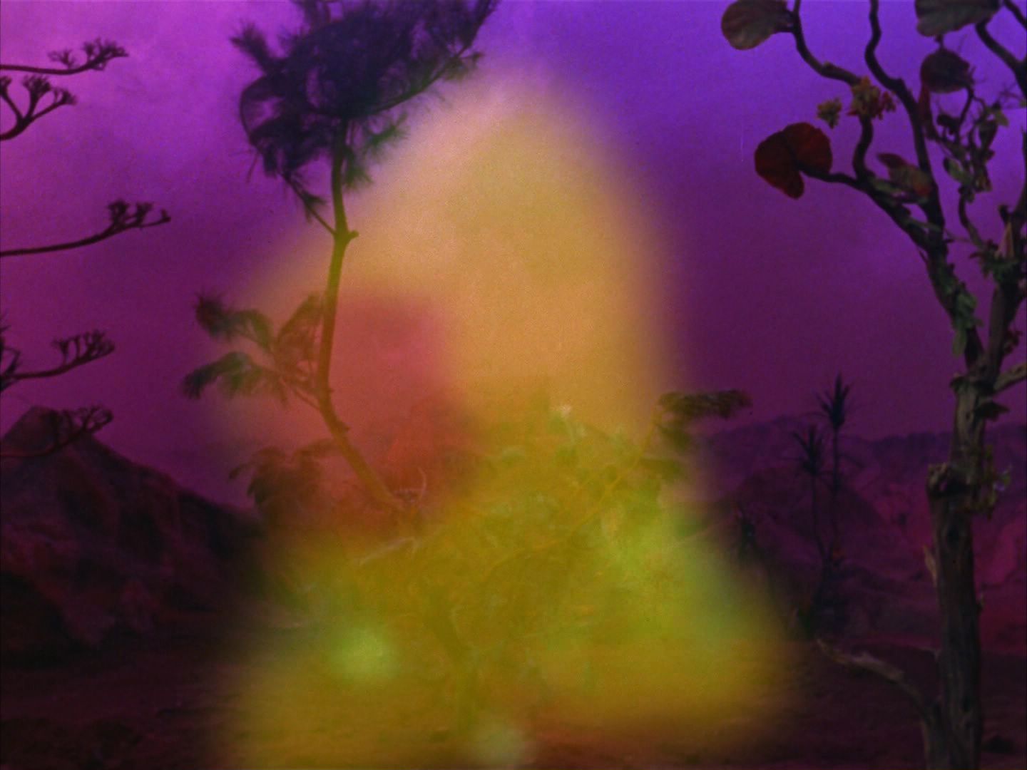 ariane179254_StarTrek_2x09_Metamorphosis_2079.jpg