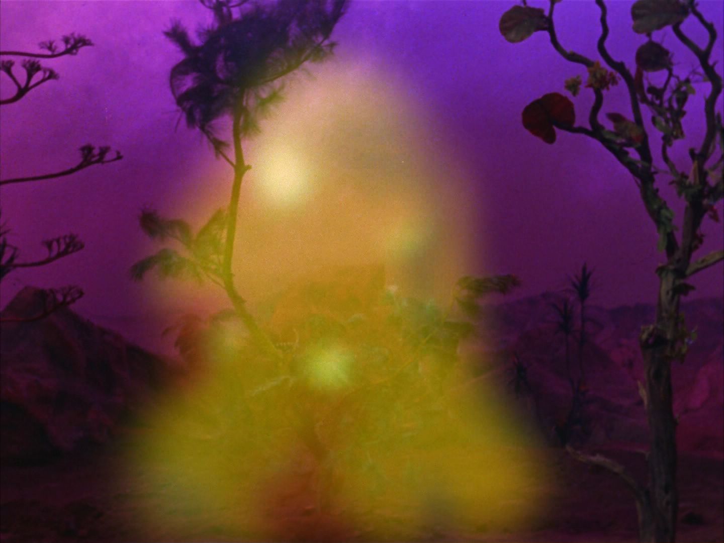 ariane179254_StarTrek_2x09_Metamorphosis_2082.jpg