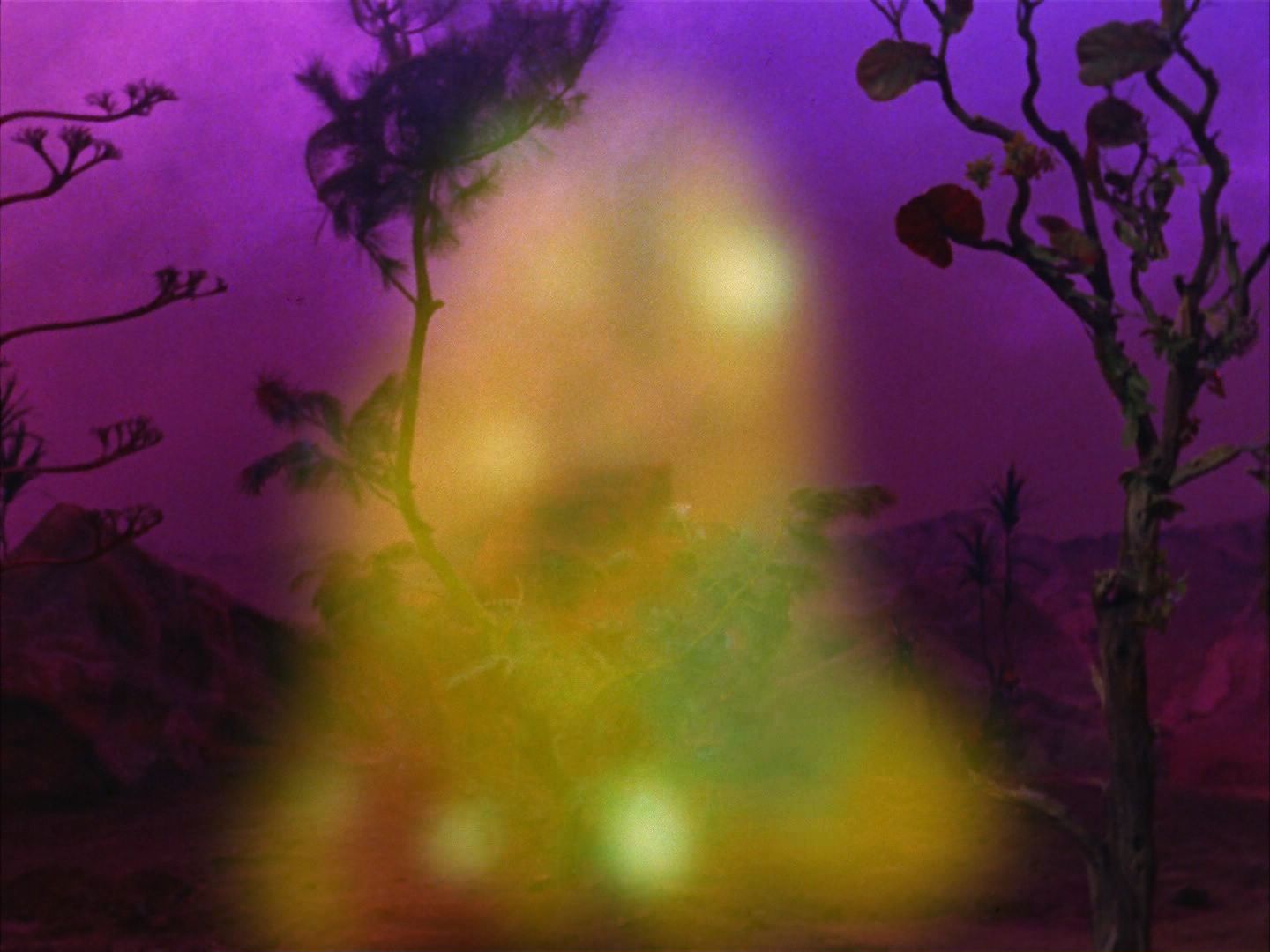 ariane179254_StarTrek_2x09_Metamorphosis_2083.jpg