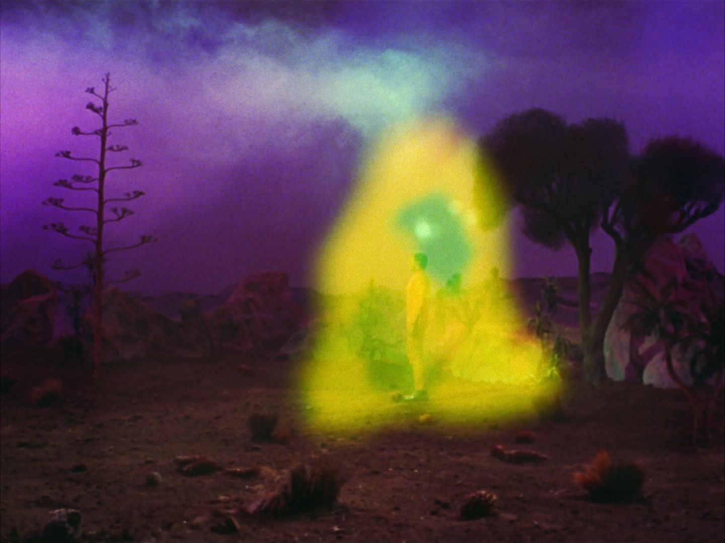 ariane179254_StarTrek_2x09_Metamorphosis_2095.jpg