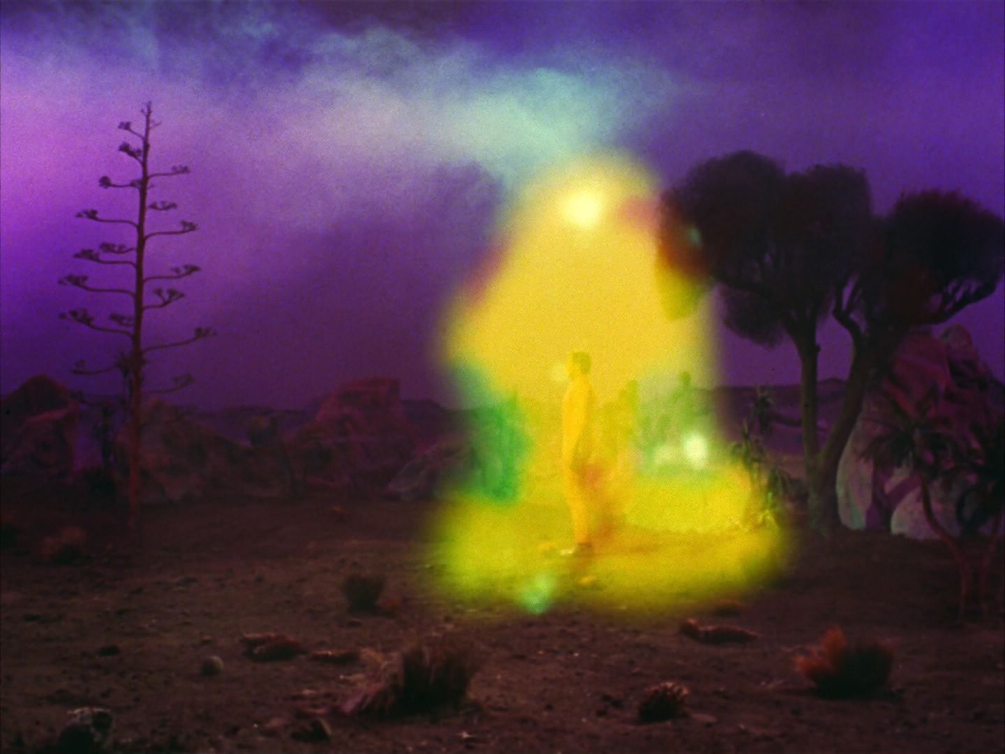 ariane179254_StarTrek_2x09_Metamorphosis_2096.jpg