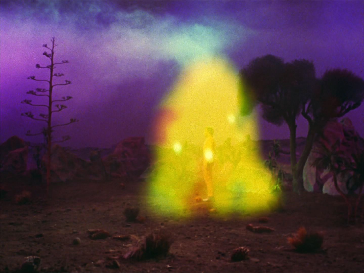 ariane179254_StarTrek_2x09_Metamorphosis_2098.jpg