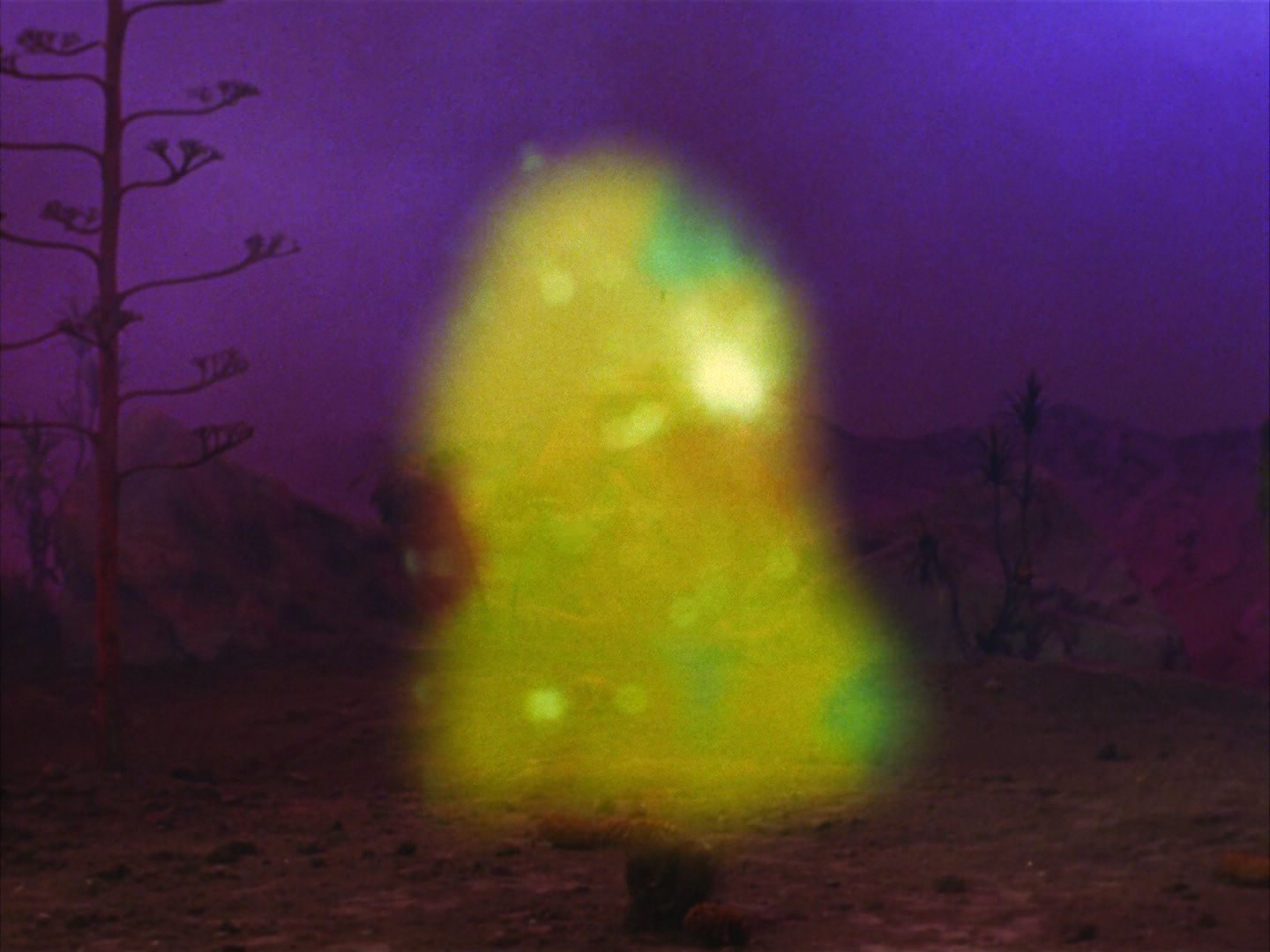 ariane179254_StarTrek_2x09_Metamorphosis_2114.jpg