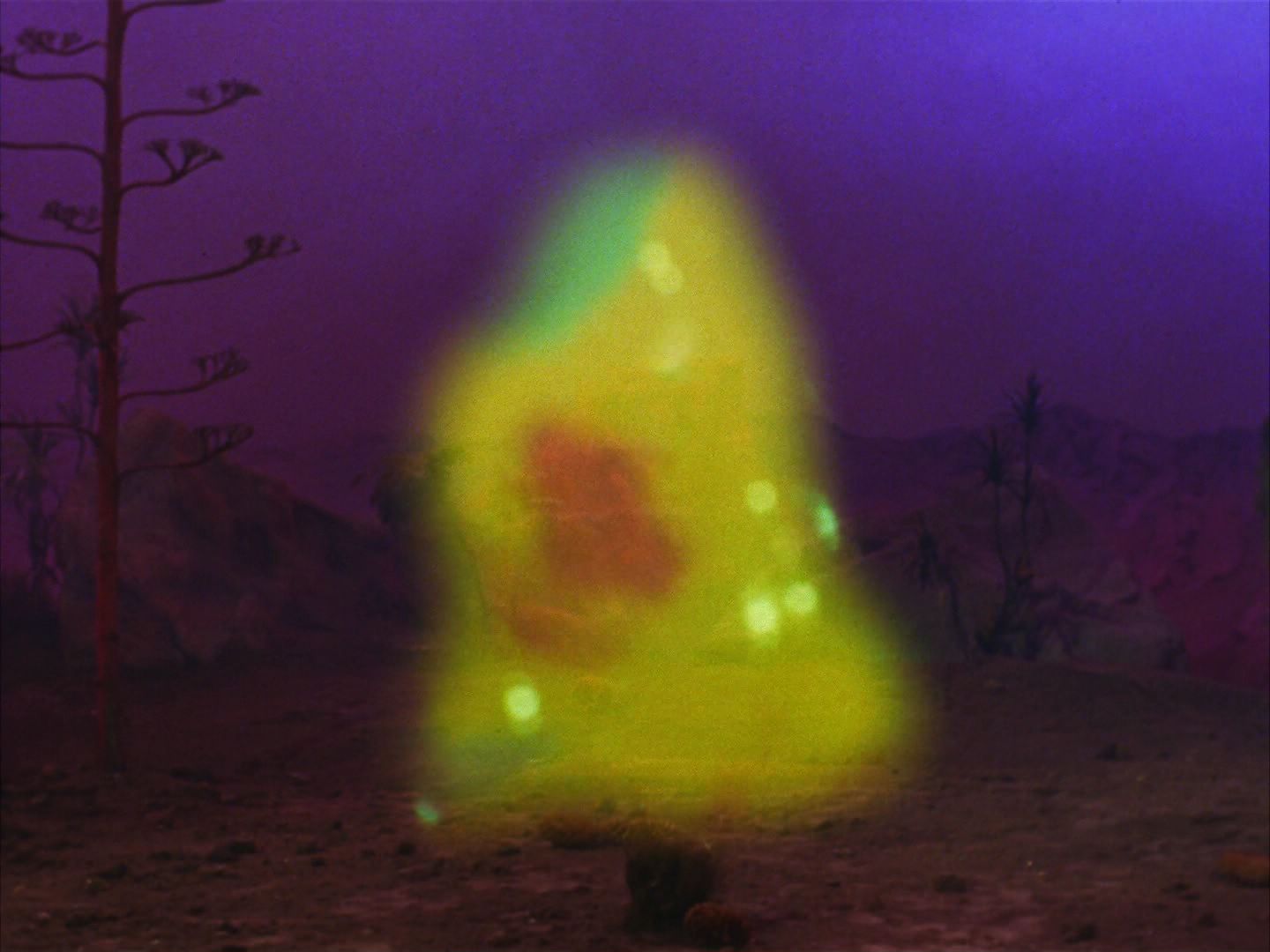 ariane179254_StarTrek_2x09_Metamorphosis_2163.jpg
